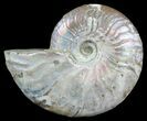 Silver Iridescent Ammonite - Madagascar #54865-1